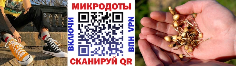 Галлюциногенные грибы ЛСД  kraken зеркало  Кемерово  где найти наркотики 